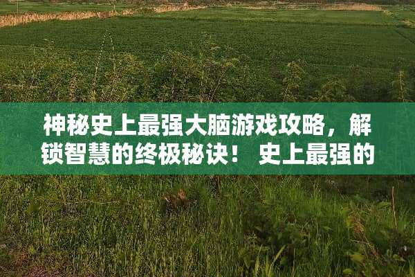神秘史上最强大脑游戏攻略，解锁智慧的终极秘诀！ 史上最强的大脑游戏攻略