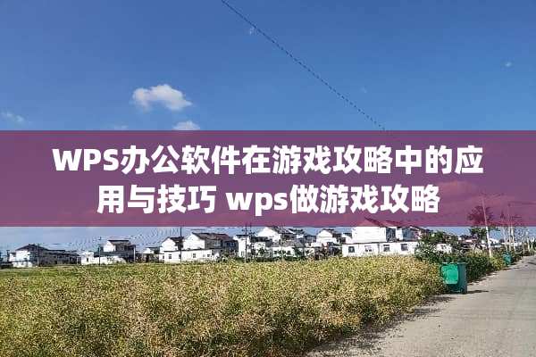 WPS办公软件在游戏攻略中的应用与技巧 wps做游戏攻略