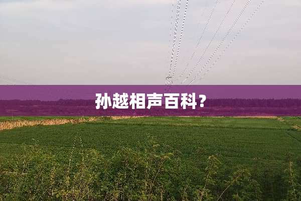 孙越相声百科？