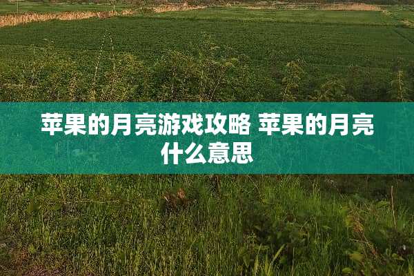 苹果的月亮游戏攻略 苹果的月亮什么意思