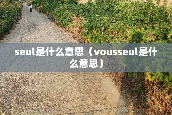 seul是什么意思（vousseul是什么意思）
