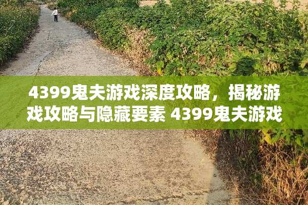 4399鬼夫游戏深度攻略，揭秘游戏攻略与隐藏要素 4399鬼夫游戏攻略