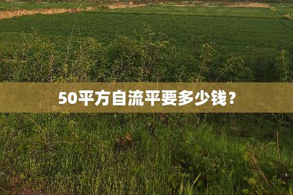 50平方自流平要多少钱？