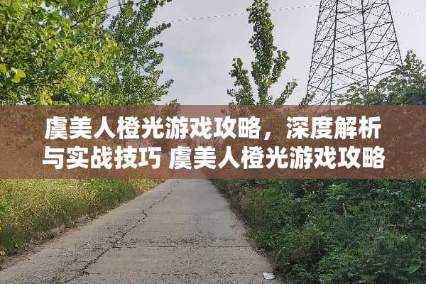 虞美人橙光游戏攻略，深度解析与实战技巧 虞美人橙光游戏攻略