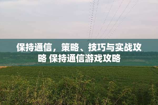 保持通信，策略、技巧与实战攻略 保持通信游戏攻略
