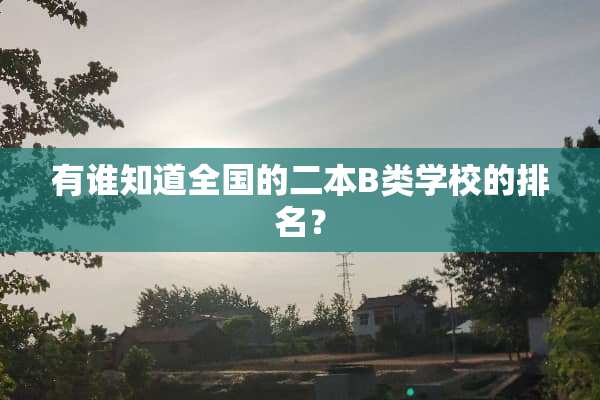有谁知道全国的二本B类学校的排名？