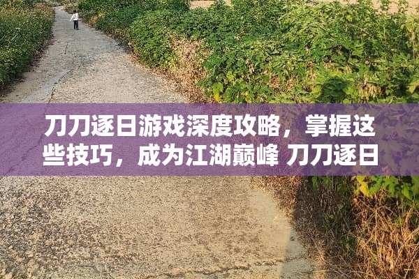 刀刀逐日游戏深度攻略，掌握这些技巧，成为江湖巅峰 刀刀逐日游戏攻略