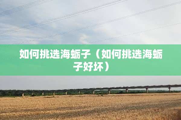 如何挑选海蛎子（如何挑选海蛎子好坏）