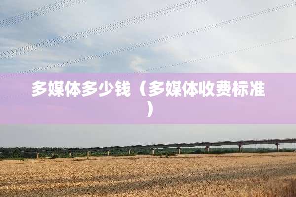 多媒体多少钱（多媒体收费标准）