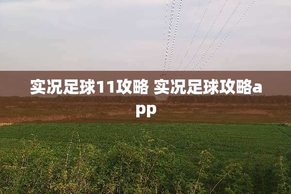 实况**11攻略 实况**攻略app