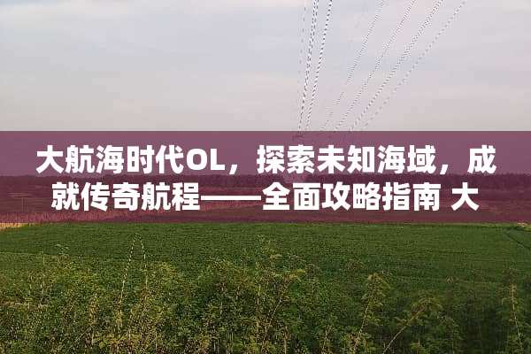 大航海时代OL，探索未知海域，成就传奇航程——全面攻略指南 大航海时代ol攻略