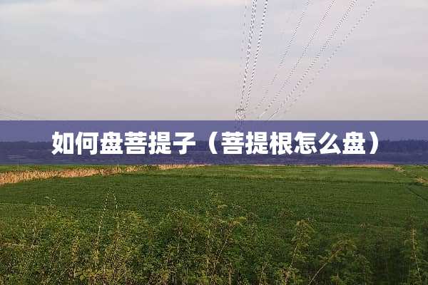 如何盘**子（**根怎么盘）