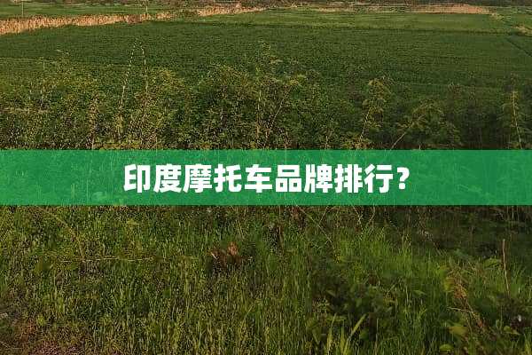 印度摩托车品牌排行？