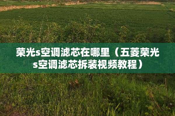 荣光s空调滤芯在哪里（五菱荣光s空调滤芯拆装视频教程）