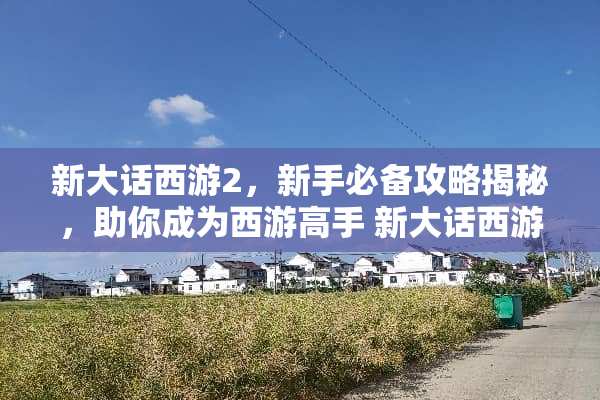 新大话西游2，新手必备攻略揭秘，助你成为西游高手 新大话西游2攻略