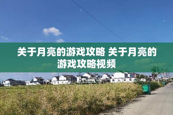 关于月亮的游戏攻略 关于月亮的游戏攻略视频