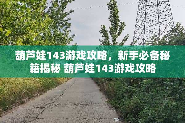 葫芦娃143游戏攻略，新手必备秘籍揭秘 葫芦娃143游戏攻略