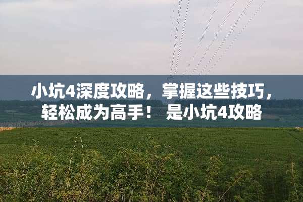 小坑4深度攻略，掌握这些技巧，轻松成为高手！ 是小坑4攻略