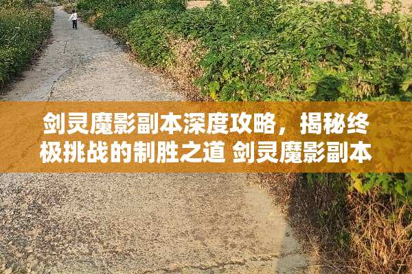 剑灵魔影副本深度攻略，揭秘终极挑战的制胜之道 剑灵魔影副本攻略
