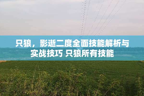 只狼，影逝二度全面技能解析与实战技巧 只狼所有技能