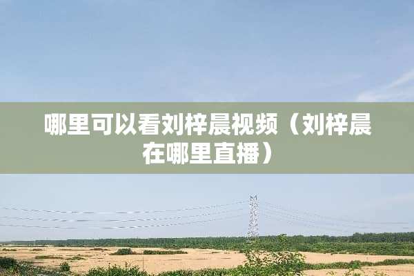 哪里可以看刘梓晨视频（刘梓晨在哪里直播）
