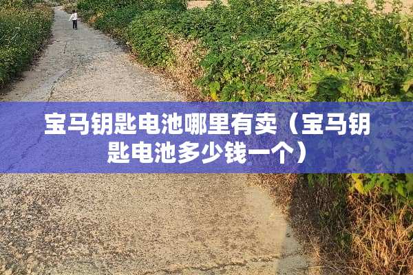 宝马钥匙电池哪里有卖（宝马钥匙电池多少钱一个）