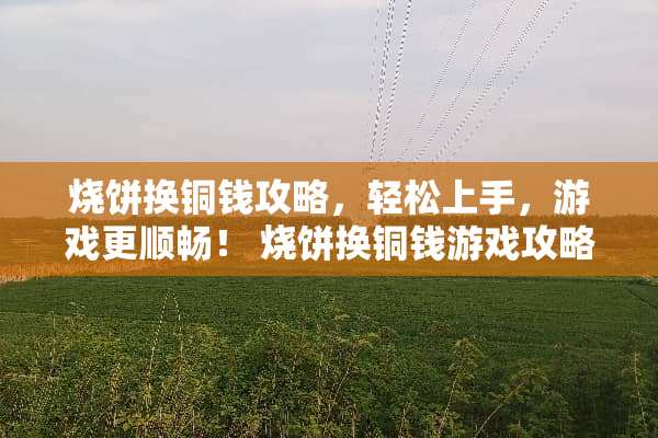 烧饼换铜钱攻略，轻松上手，游戏更顺畅！ 烧饼换铜钱游戏攻略