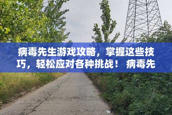 **先生游戏攻略，掌握这些技巧，轻松应对各种挑战！**先生游戏攻略