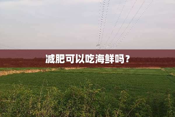 减肥可以吃海鲜吗？