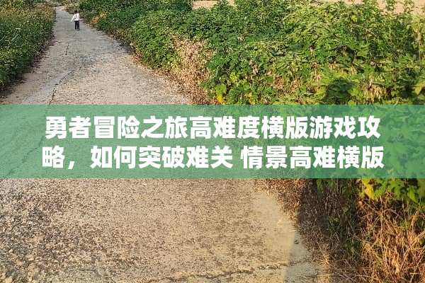 勇者冒险之旅高难度横版游戏攻略，如何突破难关 情景高难横版游戏攻略