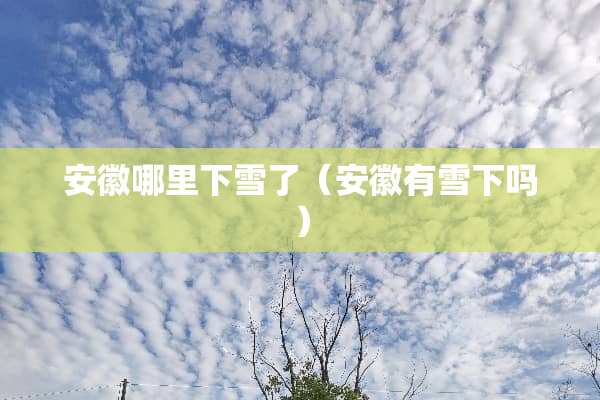 安徽哪里下雪了（安徽有雪下吗）
