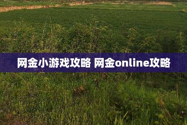 网金小游戏攻略 网金online攻略
