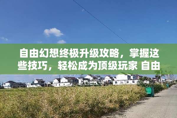 自由幻想终极升级攻略，掌握这些技巧，轻松成为**玩家 自由幻想升级攻略