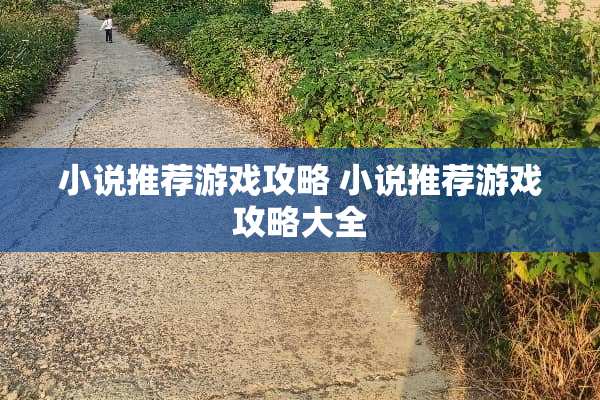 小说推荐游戏攻略 小说推荐游戏攻略大全