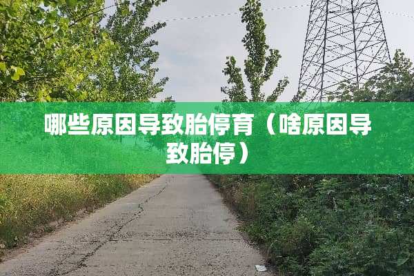 哪些原因导致胎停育（啥原因导致胎停）