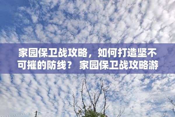家园保卫战攻略，如何打造坚不可摧的防线？ 家园保卫战攻略游戏