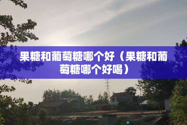 果糖和葡萄糖哪个好（果糖和葡萄糖哪个好喝）