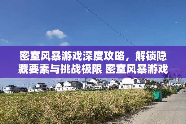 密室风暴游戏深度攻略，解锁隐藏要素与挑战极限 密室风暴游戏攻略