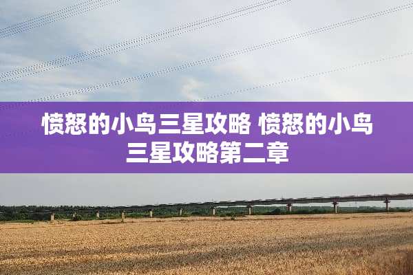 愤怒的小鸟三星攻略 愤怒的小鸟三星攻略第二章