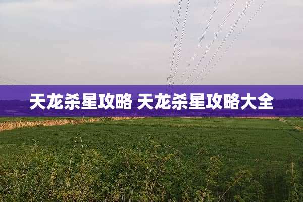 天龙杀星攻略 天龙杀星攻略大全