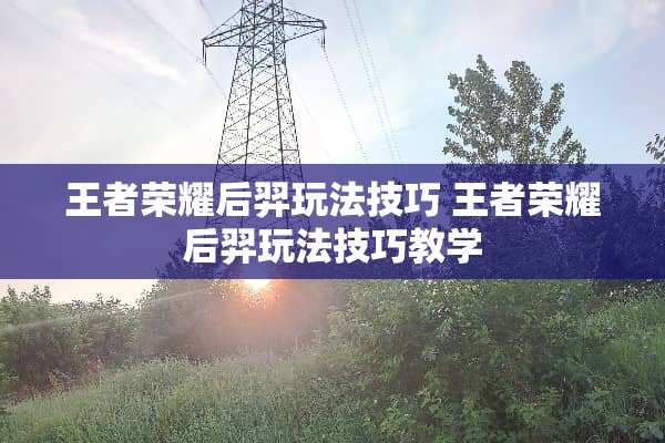 王者荣耀后羿玩法技巧 王者荣耀后羿玩法技巧教学