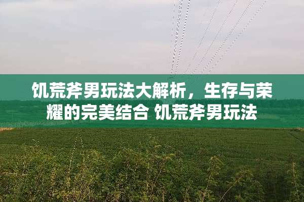 饥荒斧男玩法大解析，生存与荣耀的完美结合 饥荒斧男玩法