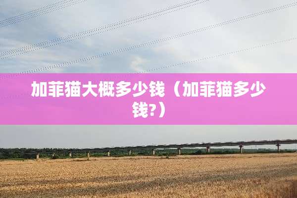 加菲猫大概多少钱（加菲猫多少钱?）