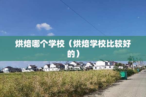 烘焙哪个学校（烘焙学校比较好的）