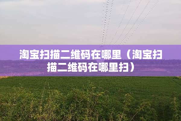 淘宝扫描二维码在哪里（淘宝扫描二维码在哪里扫）