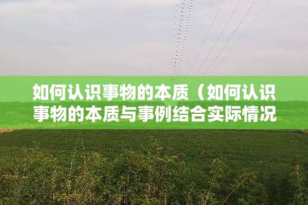 如何认识事物的本质（如何认识事物的本质与事例结合实际情况）