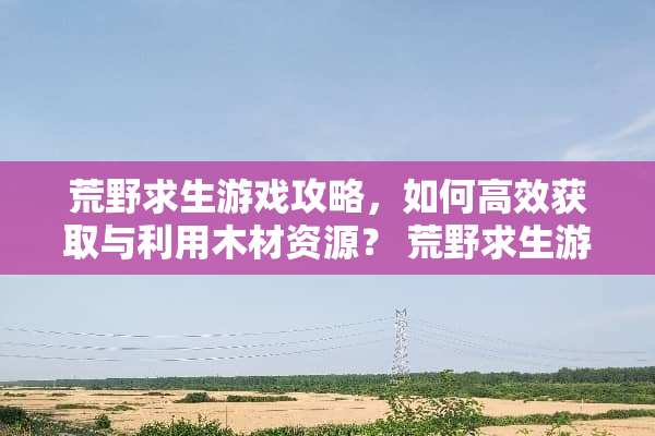 荒野求生游戏攻略，如何高效获取与利用木材资源？ 荒野求生游戏攻略木材