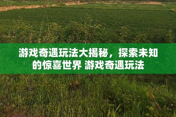 游戏奇遇玩法大揭秘，探索未知的惊喜世界 游戏奇遇玩法