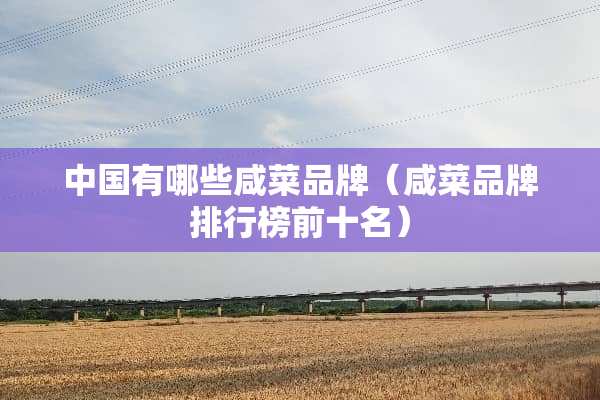 中国有哪些咸菜品牌（咸菜品牌排行榜前十名）