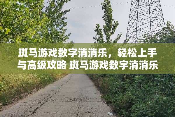 斑马游戏数字消消乐，轻松上手与高级攻略 斑马游戏数字消消乐攻略